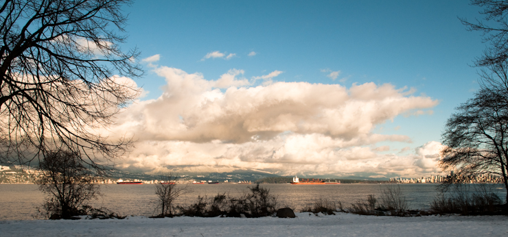 This past January with outrageous amounts of snowfall and cold temperatures in Vancouver